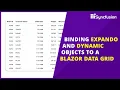 Blazor DataGrid Binding Expando Dynamic Objects to its DataSource