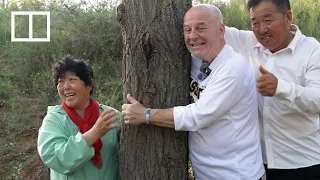 How an American teacher and Chinese farmer grew a forest in the desert