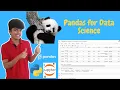Complete Python Pandas Data Science Tutorial Reading files Sorting Filtering Groupby