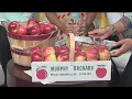 Marionville AppleFest - 18