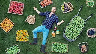 I Grew WAY Too Much Fruit… Here’s What I Did With It