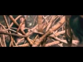 Download Lagu Evil Dead (2013) - Tree Rape scene