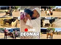 DEONAR BAKRA MANDI LATEST UPDATE 2025 || SATURDAY LIVE MARKET || 