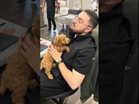 After a long exhausting day… this tiny exam somehow fixed my mood #drrami #vet #cat #dog