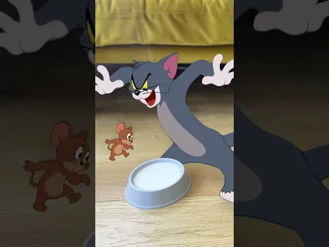 To tak powstaje zdekonstruowana kanapka? 🔨 | Tom i Jerry | Obejrzyj więcej na Cartoonito #Shorts