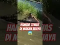 Lagu Detik-Detik Mengerikan! Buaya Hapir Telan Manusia #shortshewan #animals #Buaya #Crocodile #wildlife