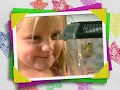 Old MacDonald, Bingo + More Animal Songs and Nursery Rhymes For Kids | Barney the Dinosaur