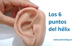 1 The 6 Helix Points Auriculotherapy Courses IMG Center