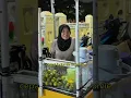 Download Lagu Ibu ini menangis terharu di kasi Berlian Mewah.