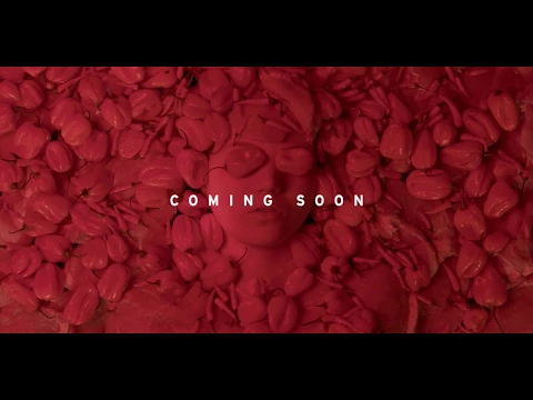 TASTE OF LOVE - TRAILER