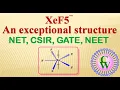 XeF5 An exceptional structure
