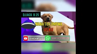 djjack b 25 bakora wana toa umbwa usiku official audio 