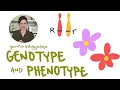 Genotype and Phenotype Explained With Examples