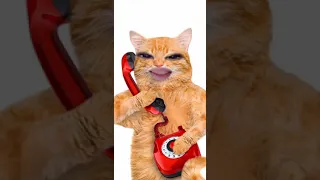 انا حلوة وزي الفل 