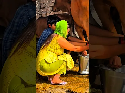 🔥trending ragni🔥#haryanvisong #ragnistatus #ragnicompetition #desiragni #trend #viralshort #explore