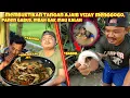 Download Lagu MANUSIA LUBANG BERBURU IKAN TANGAN KOSONG DI SUNGAI LANGSUNG OLAH DITEMPAT