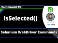 isSelected Command - Selenium WebDriver