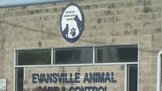 Evansville animal control works to find cause of multiple dog deaths
