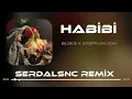 BLOK3 - Habibi ( @furkandemirmusic ) | Yallah Habibi Habibi. #serdalsnc