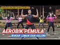 Download Lagu AEROBIK PEMULA BAKAR LEMAK DAN KALORI SUPER GOBYOSS