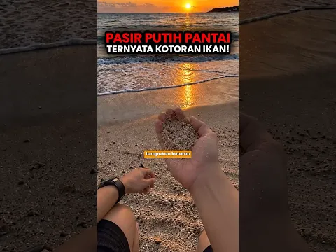 Fakta Menjijikkan di Balik Pasir Pantai 🏖️😅