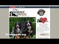 Berner-Garde 101 How to add a new dog to the database
