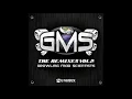 Who da Funk - Shiny Disco Balls Feat. Jessica Eve (GMS Remix)