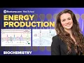 Biochemistry Chapter 4 Energy Production Glycolysis Krebs Cycle Electron Transport Chain