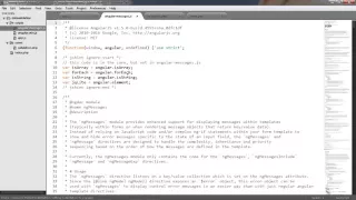 AngularJs data validation -