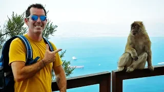 Spot The Monkey! On Top of the WORLD in Gibraltar | Sailing Vlog 77 | Sailing Ruby Rose