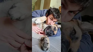 Team CHIEN ou CHAT ? 🐈 🐕