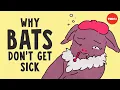 Why bats don t get sick - Arinjay Banerjee