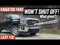 Radiator Fans Stay On - 2014