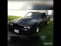Mikes Monte Comp