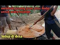 Lagu membuat jenang jawa atau dodol untuk acara hajatan || hidup di desa