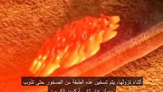 Plate Tectonics 1 Subduction الاندساس أو الط ر ح أو ظاهرة الغوص أو الاستخفاض 