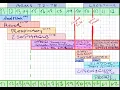 Viscerosomatic Reflexes Chart Autonomics Practice Questions OMM COMLEX OSTEOPATH 1080