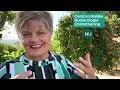 Download Lagu Nieuw! Onlinetraining Oerspronkelijke basis NUmerologie – voel de energie van jouw nummers