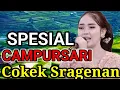 Lagu PALING GAYENG LUR CAMPURSARI COKEK SRAGENAN SINAMBI MEDANG KOPI