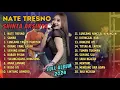 Download Lagu SHINTA ARSINTA - NATE TRESNO - SAMAR - ORANG YANG SALAH | GOYANG ESEK ESEK | FULL ALBUM 2024