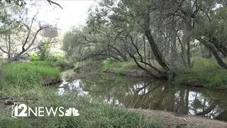 7-year-old died after being reported missing in Prescott