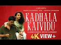 KADHALA KAIVIDU OFFICIAL MUSIC VIDEO