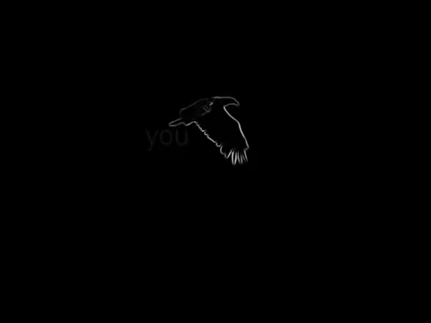 IF YOU NEED ME I WILL FLY Trailer