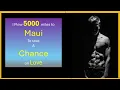 I traveled 5000 miles to Maui to take a chance BL Gay book Read by Geo