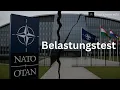 Download Lagu NATO Spaltung nach Drohnen-Angriff? Trump will Sanktionen - Grassl \u0026 Matei #170
