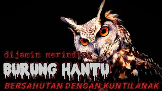 suara burung hantu kuntilanak suara setan tertawa