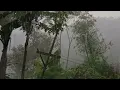 The World's No. 1 Heavy Rain Therapy 🌧️ | Deepest Relaxation & Deepest Sleep