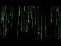 One Hour Matrix Rain Code Digital Matrix Rain Screen Saver