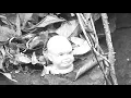 Pale Saints - Sight of You (Official Video)