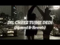 Dil Cheez Tujhe Dedi (Slowed & Reverb) | ARYAN